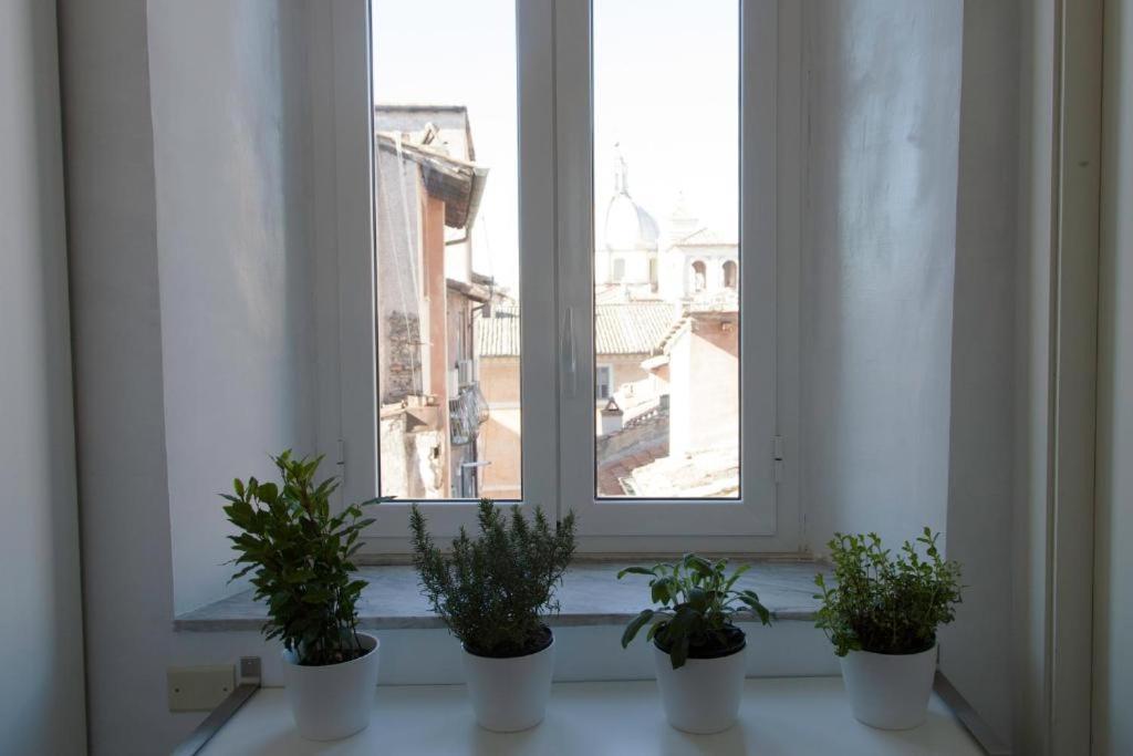 Navona Design Apartment Casa E Appartamento Per Vacanze 罗马 外观 照片
